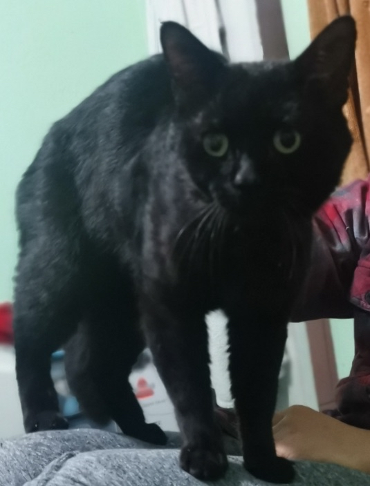 The real Witchy